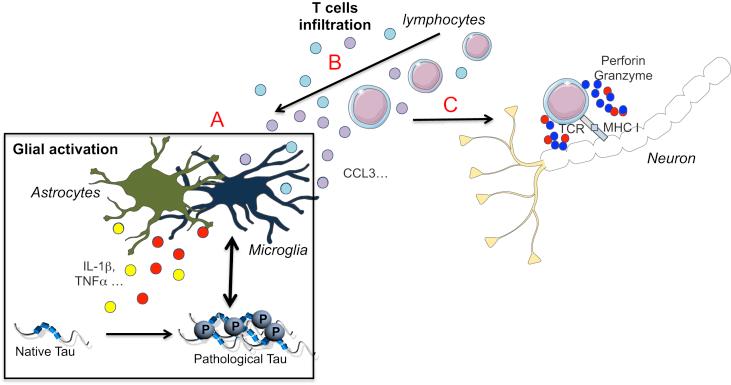 https://cdn.ncbi.nlm.nih.gov/pmc/blobs/51c6/6138617/f290944ab655/gr2.jpg