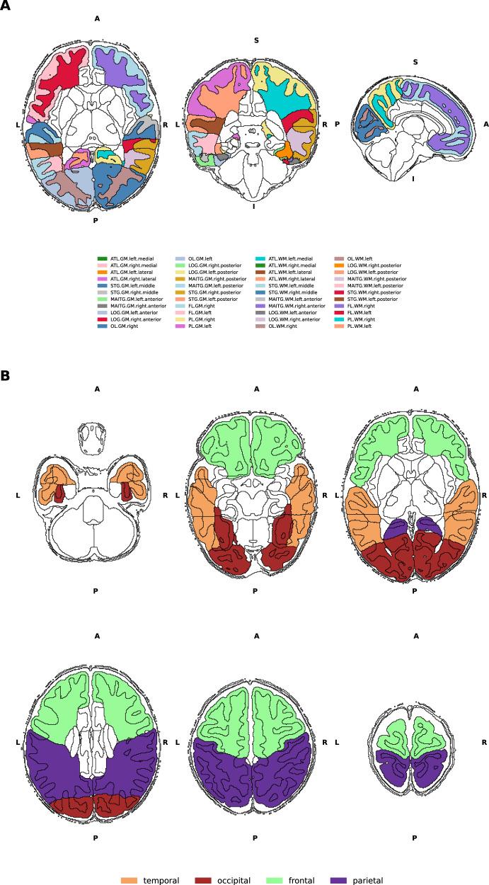 https://cdn.ncbi.nlm.nih.gov/pmc/blobs/51c7/11799222/ae7b5cd1baaf/41398_2025_3253_Fig1_HTML.jpg