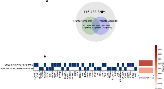 https://cdn.ncbi.nlm.nih.gov/pmc/blobs/51c7/11799222/f7a651d4643a/41398_2025_3253_Fig4_HTML.jpg