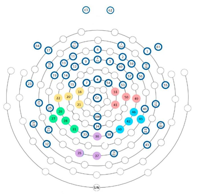 https://cdn.ncbi.nlm.nih.gov/pmc/blobs/51c9/10295938/71b9bf7d0258/brainsci-13-00931-g003.jpg