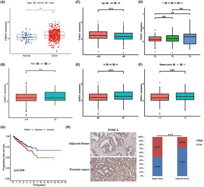 https://cdn.ncbi.nlm.nih.gov/pmc/blobs/51c9/10424298/1bdd6e048b4a/JCMM-27-2437-g003.jpg