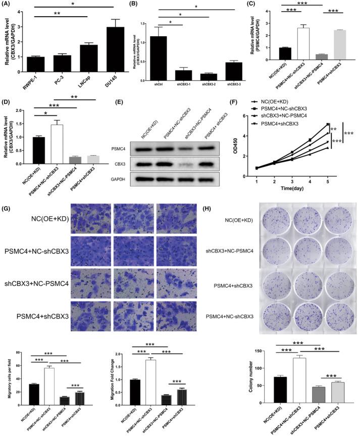 https://cdn.ncbi.nlm.nih.gov/pmc/blobs/51c9/10424298/aa11ae984132/JCMM-27-2437-g002.jpg