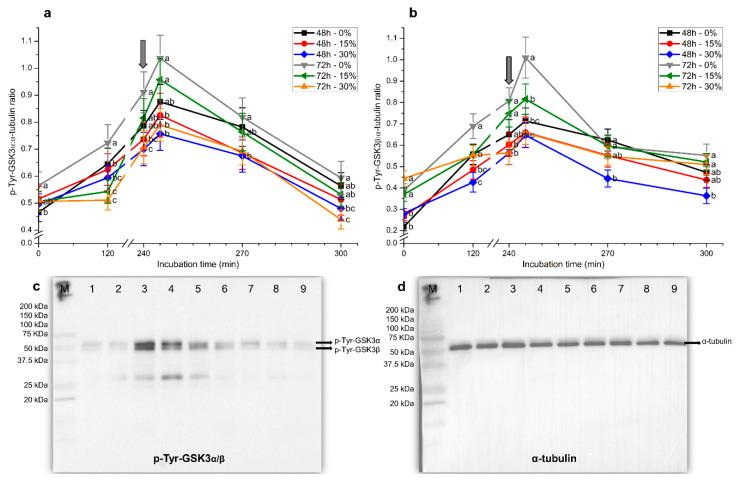 https://cdn.ncbi.nlm.nih.gov/pmc/blobs/51c9/7350249/5e86a9dea409/ijms-21-04520-g008.jpg