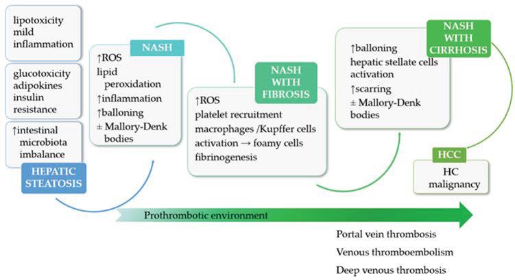 https://cdn.ncbi.nlm.nih.gov/pmc/blobs/51ca/10535217/282a9a72b4bf/medicina-59-01614-g001.jpg