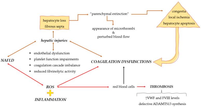 https://cdn.ncbi.nlm.nih.gov/pmc/blobs/51ca/10535217/bea5deabd35c/medicina-59-01614-g002.jpg