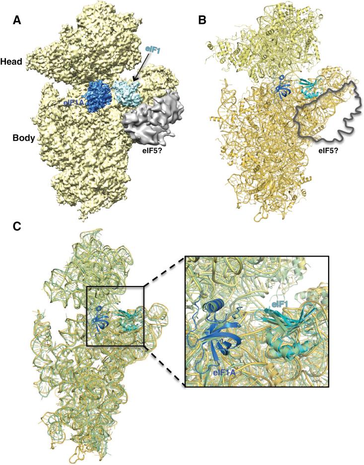 https://cdn.ncbi.nlm.nih.gov/pmc/blobs/51cb/4217140/b72b400ce6fe/figs4.jpg