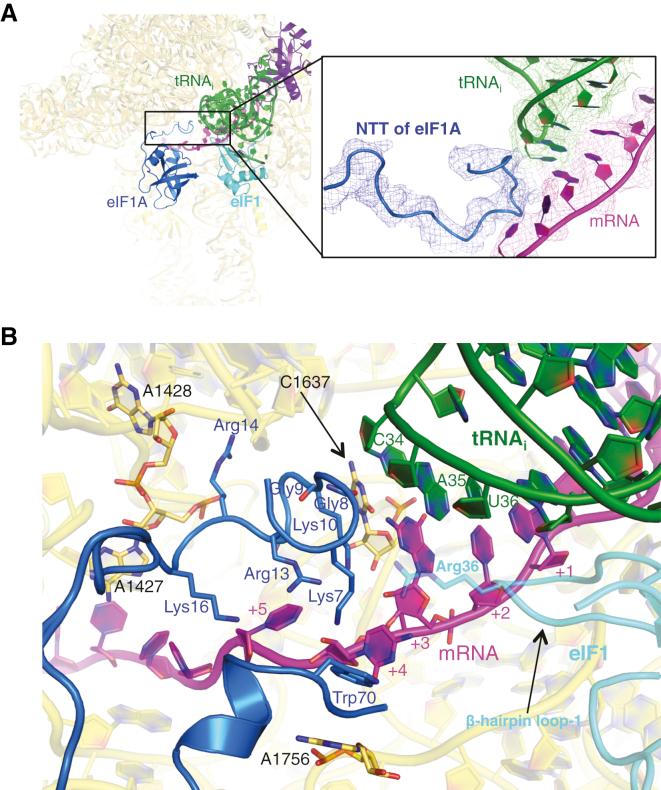 https://cdn.ncbi.nlm.nih.gov/pmc/blobs/51cb/4217140/b9c4b97a9478/gr4.jpg