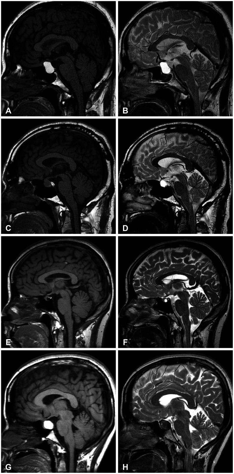 https://cdn.ncbi.nlm.nih.gov/pmc/blobs/51d0/9911707/0abab6f3b626/btrt-11-59-g002.jpg