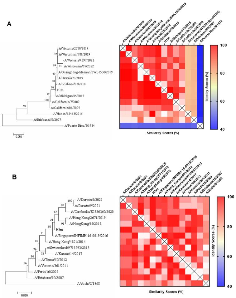 https://cdn.ncbi.nlm.nih.gov/pmc/blobs/51d2/11435869/8fa0b3fe4dc0/vaccines-12-01008-g001.jpg