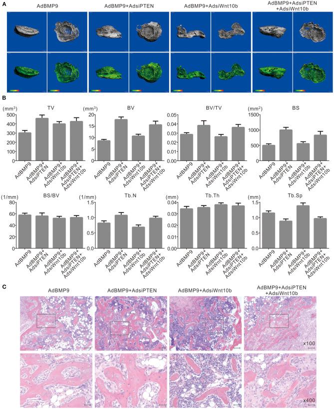 https://cdn.ncbi.nlm.nih.gov/pmc/blobs/51d2/7889951/40c4600bd7f9/fcell-08-608544-g0004.jpg