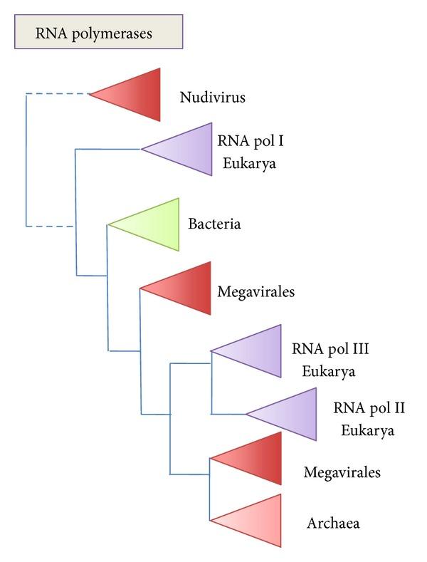 https://cdn.ncbi.nlm.nih.gov/pmc/blobs/51d3/3855935/d2a8d159d0d9/ARCH2013-372396.005.jpg