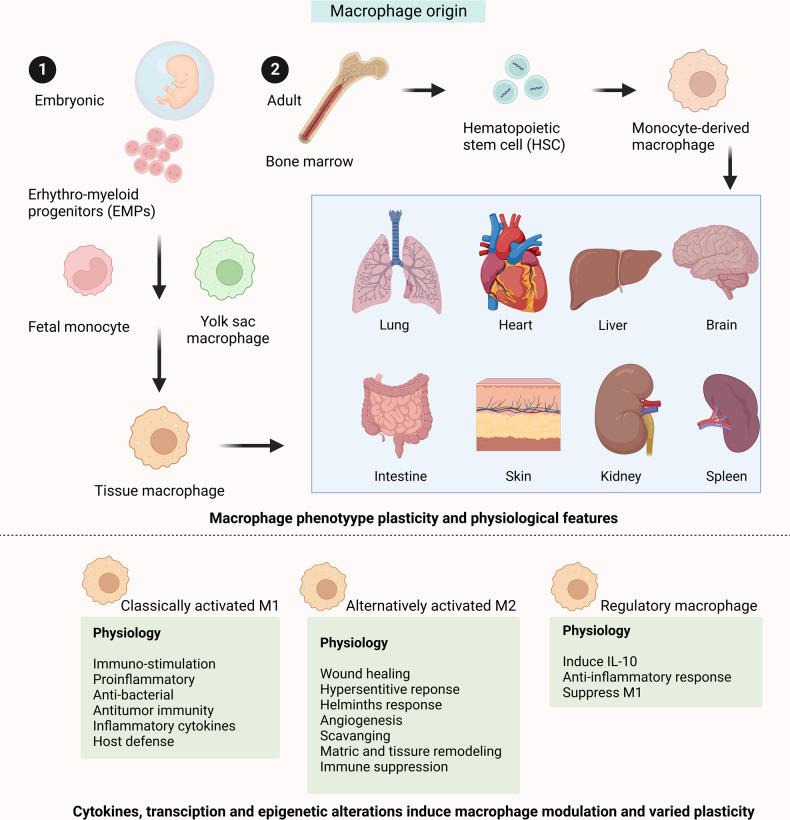 https://cdn.ncbi.nlm.nih.gov/pmc/blobs/51d4/10200802/46a4a4a1be58/41392_2023_1452_Fig2_HTML.jpg