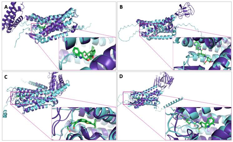 https://cdn.ncbi.nlm.nih.gov/pmc/blobs/51d5/11432040/1e3fcc537dfa/ijms-25-10139-g002.jpg