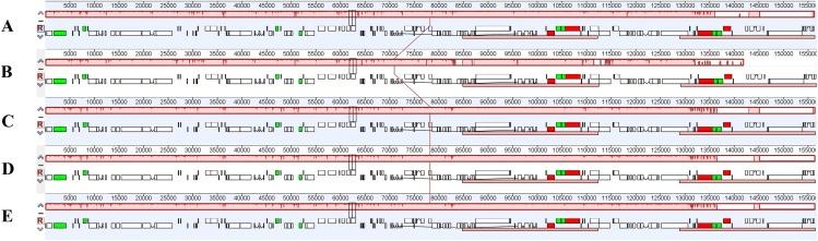 https://cdn.ncbi.nlm.nih.gov/pmc/blobs/51d5/6387583/3345bf4c5d12/peerj-07-6386-g005.jpg