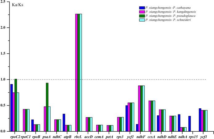 https://cdn.ncbi.nlm.nih.gov/pmc/blobs/51d5/6387583/a7838c6636f0/peerj-07-6386-g009.jpg