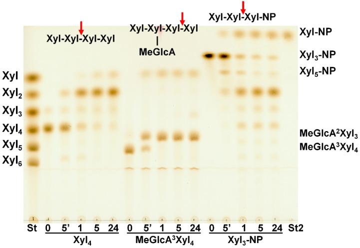 https://cdn.ncbi.nlm.nih.gov/pmc/blobs/51d6/8840591/02c4abacbe4b/molecules-27-00751-g006.jpg