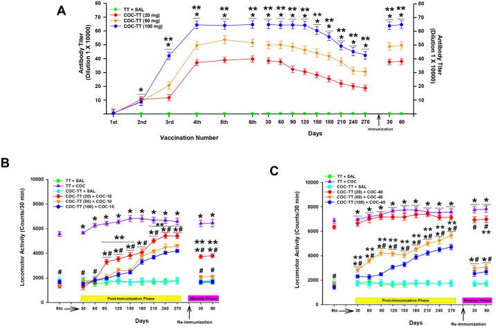 https://cdn.ncbi.nlm.nih.gov/pmc/blobs/51da/12170527/33500e6bd13a/fpsyt-16-1548585-g005.jpg