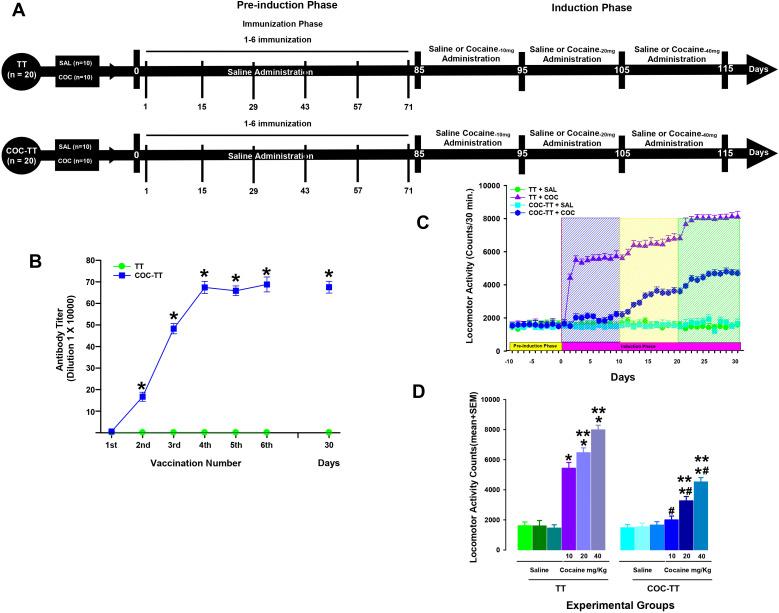 https://cdn.ncbi.nlm.nih.gov/pmc/blobs/51da/12170527/623a5eaaefea/fpsyt-16-1548585-g002.jpg