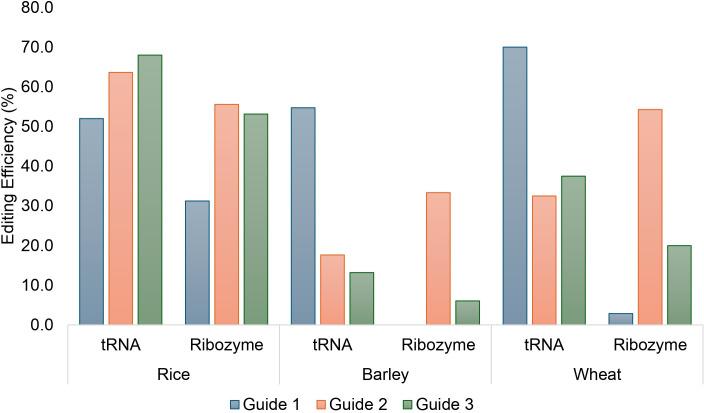 https://cdn.ncbi.nlm.nih.gov/pmc/blobs/51dc/11657133/9c76dd6b9f1e/fpls-15-1426184-g003.jpg