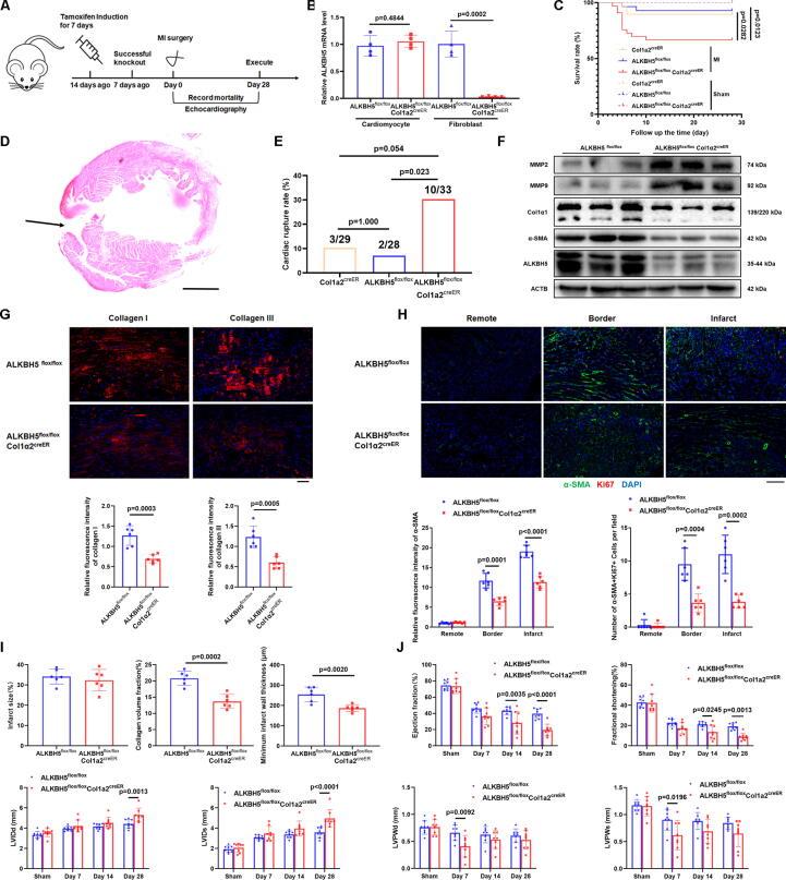 https://cdn.ncbi.nlm.nih.gov/pmc/blobs/51de/11258655/40eb4ec91fc4/gr4.jpg