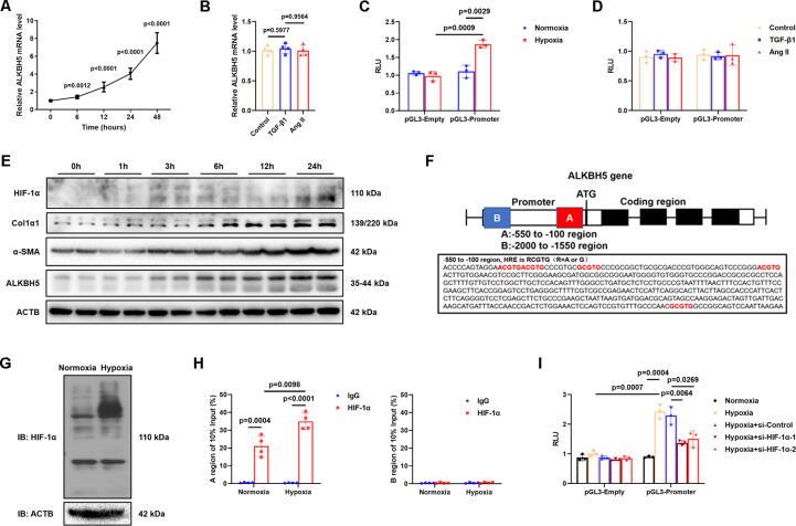 https://cdn.ncbi.nlm.nih.gov/pmc/blobs/51de/11258655/7cc7a31cadec/gr5.jpg