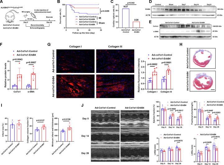 https://cdn.ncbi.nlm.nih.gov/pmc/blobs/51de/11258655/902008a9d10a/gr9.jpg