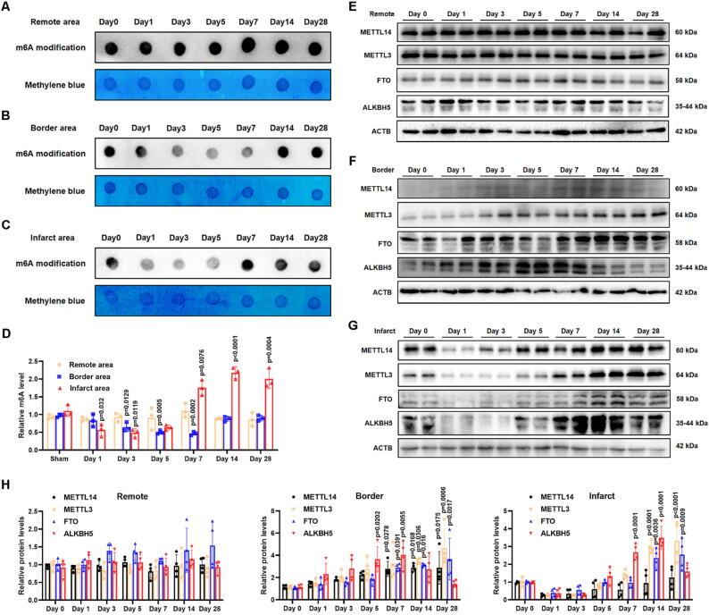 https://cdn.ncbi.nlm.nih.gov/pmc/blobs/51de/11258655/94b6da9654f9/gr1.jpg