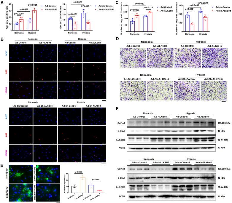 https://cdn.ncbi.nlm.nih.gov/pmc/blobs/51de/11258655/c355a1202a5e/gr6.jpg