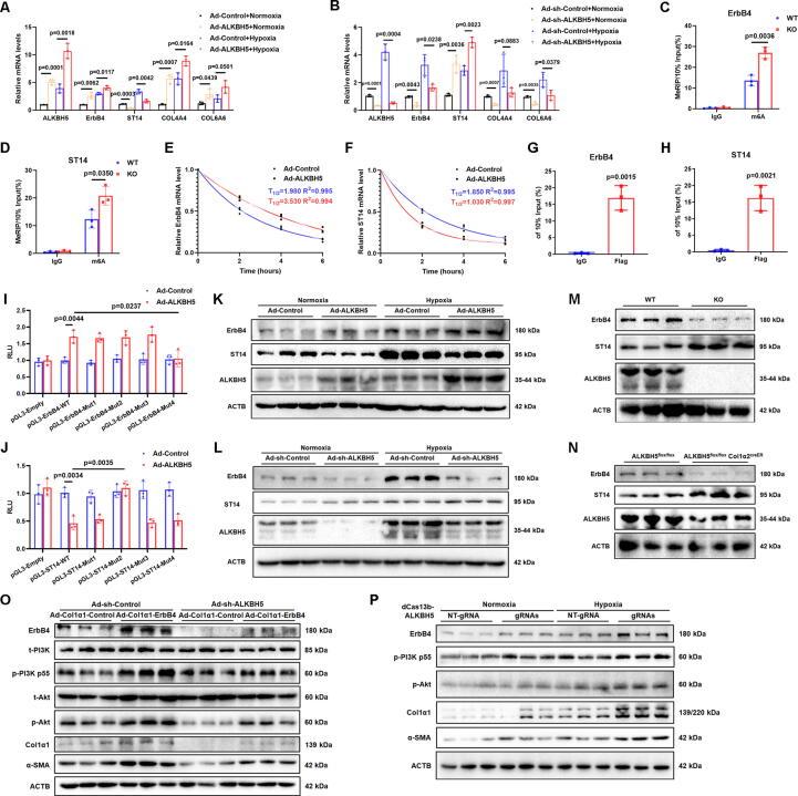 https://cdn.ncbi.nlm.nih.gov/pmc/blobs/51de/11258655/d49ac00322a8/gr8.jpg