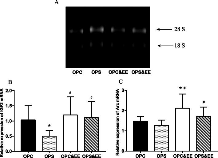 https://cdn.ncbi.nlm.nih.gov/pmc/blobs/51e1/7811238/b5b904960efe/12199_2020_929_Fig7_HTML.jpg