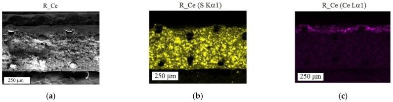 https://cdn.ncbi.nlm.nih.gov/pmc/blobs/51e1/9919321/71fab5fb8227/polymers-15-00647-g001a.jpg
