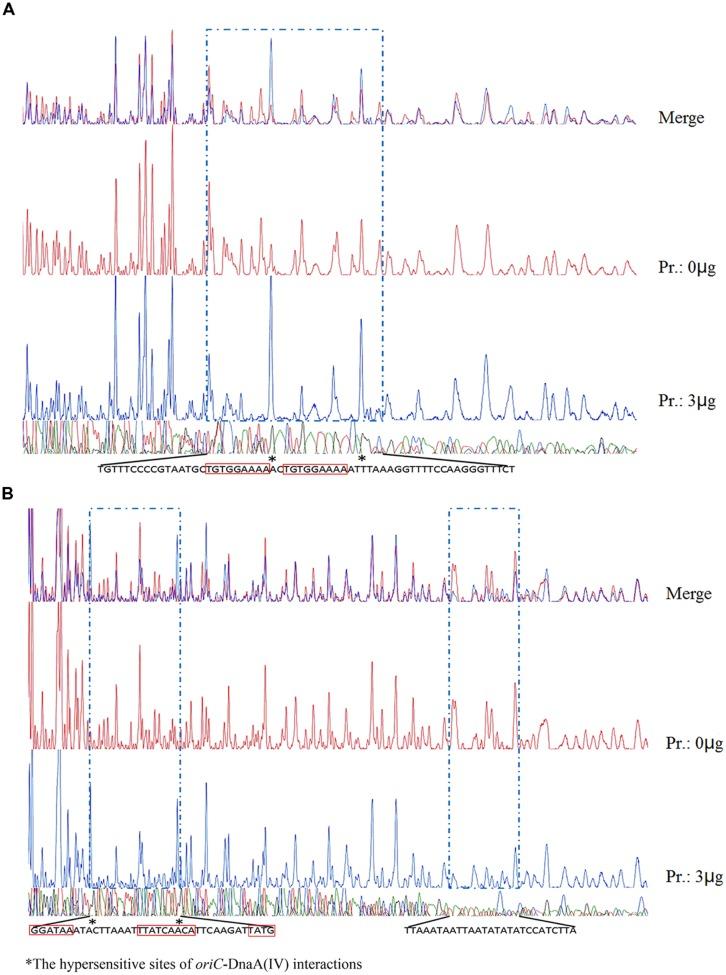 https://cdn.ncbi.nlm.nih.gov/pmc/blobs/51e3/4674748/401b0f4a3669/fmicb-06-01370-g007.jpg