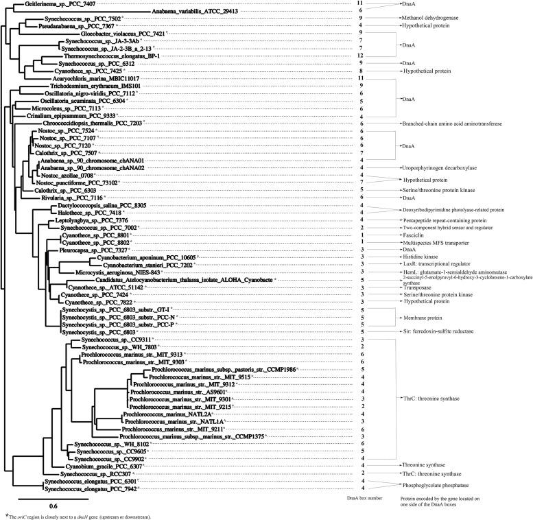 https://cdn.ncbi.nlm.nih.gov/pmc/blobs/51e3/4674748/6e0dcd53d84c/fmicb-06-01370-g002.jpg