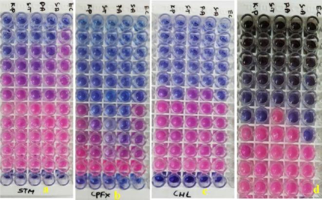 https://cdn.ncbi.nlm.nih.gov/pmc/blobs/51e4/11698845/0b2ea5168781/41598_2024_76475_Fig18_HTML.jpg
