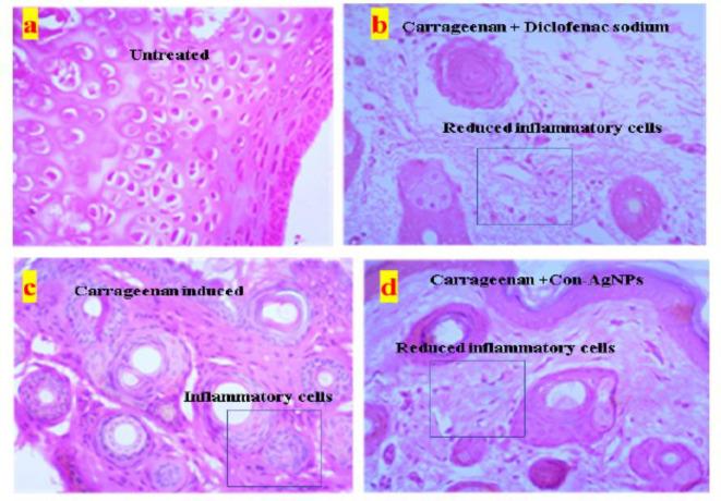 https://cdn.ncbi.nlm.nih.gov/pmc/blobs/51e4/11698845/1214fcdd6be1/41598_2024_76475_Fig32_HTML.jpg