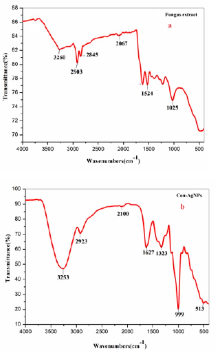 https://cdn.ncbi.nlm.nih.gov/pmc/blobs/51e4/11698845/1bfab8a2e682/41598_2024_76475_Fig6_HTML.jpg