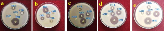 https://cdn.ncbi.nlm.nih.gov/pmc/blobs/51e4/11698845/2d0f9ceca801/41598_2024_76475_Fig13_HTML.jpg