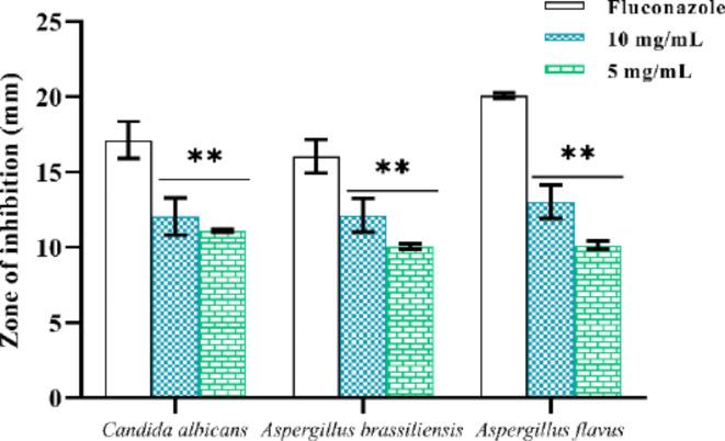 https://cdn.ncbi.nlm.nih.gov/pmc/blobs/51e4/11698845/4685b0e9fc45/41598_2024_76475_Fig20_HTML.jpg