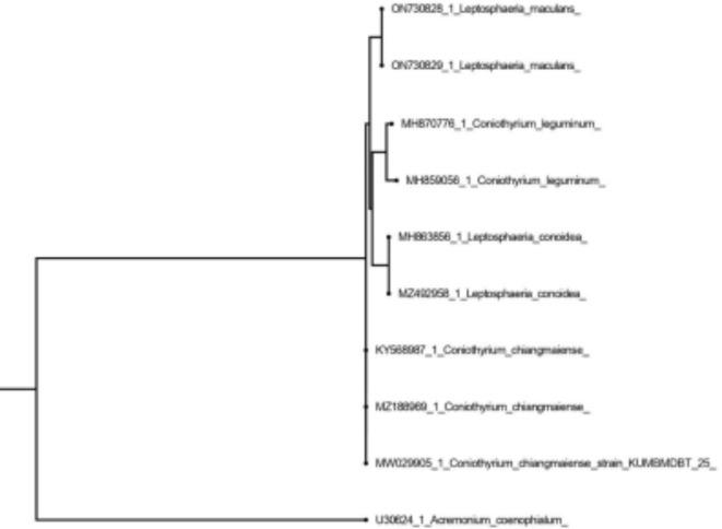 https://cdn.ncbi.nlm.nih.gov/pmc/blobs/51e4/11698845/585d588c3b71/41598_2024_76475_Fig2_HTML.jpg