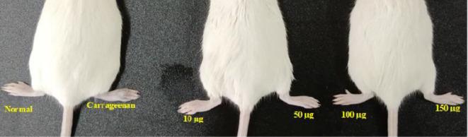 https://cdn.ncbi.nlm.nih.gov/pmc/blobs/51e4/11698845/830c33d222e7/41598_2024_76475_Fig28_HTML.jpg