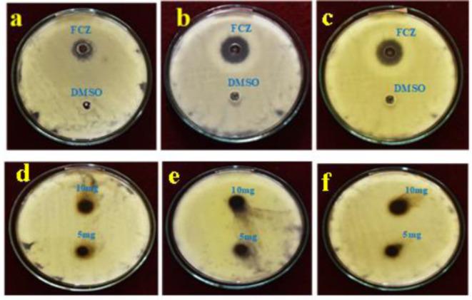 https://cdn.ncbi.nlm.nih.gov/pmc/blobs/51e4/11698845/bde0e2cf92fd/41598_2024_76475_Fig19_HTML.jpg