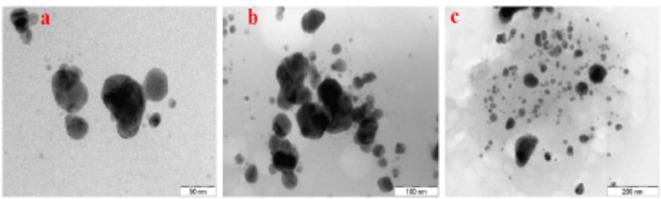 https://cdn.ncbi.nlm.nih.gov/pmc/blobs/51e4/11698845/ed367c2db4f6/41598_2024_76475_Fig9_HTML.jpg