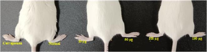 https://cdn.ncbi.nlm.nih.gov/pmc/blobs/51e4/11698845/f1a0e2169a36/41598_2024_76475_Fig29_HTML.jpg