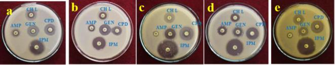 https://cdn.ncbi.nlm.nih.gov/pmc/blobs/51e4/11698845/f28f261a614b/41598_2024_76475_Fig14_HTML.jpg