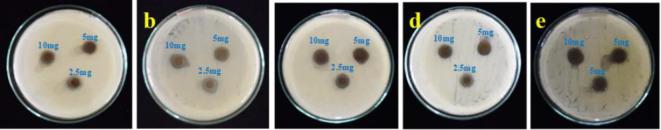 https://cdn.ncbi.nlm.nih.gov/pmc/blobs/51e4/11698845/f3c903c1528d/41598_2024_76475_Fig16_HTML.jpg