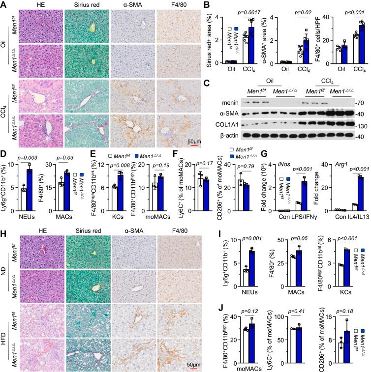 https://cdn.ncbi.nlm.nih.gov/pmc/blobs/51e5/12346064/488da4567566/gr1.jpg