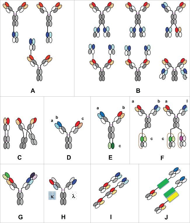 https://cdn.ncbi.nlm.nih.gov/pmc/blobs/51e7/4968094/69f05a6cfbe5/kmab-08-06-1197457-g003.jpg