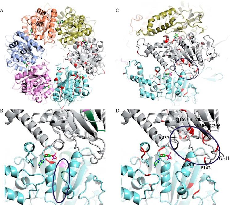 https://cdn.ncbi.nlm.nih.gov/pmc/blobs/51e9/4591828/3fb2d3ec86b3/zbc0431527050007.jpg
