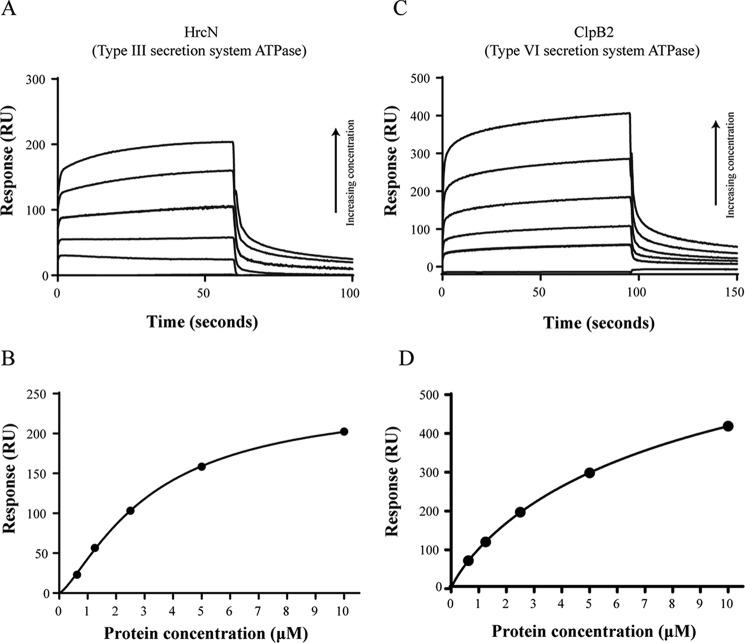 https://cdn.ncbi.nlm.nih.gov/pmc/blobs/51e9/4591828/ec1ad9215985/zbc0431527050004.jpg
