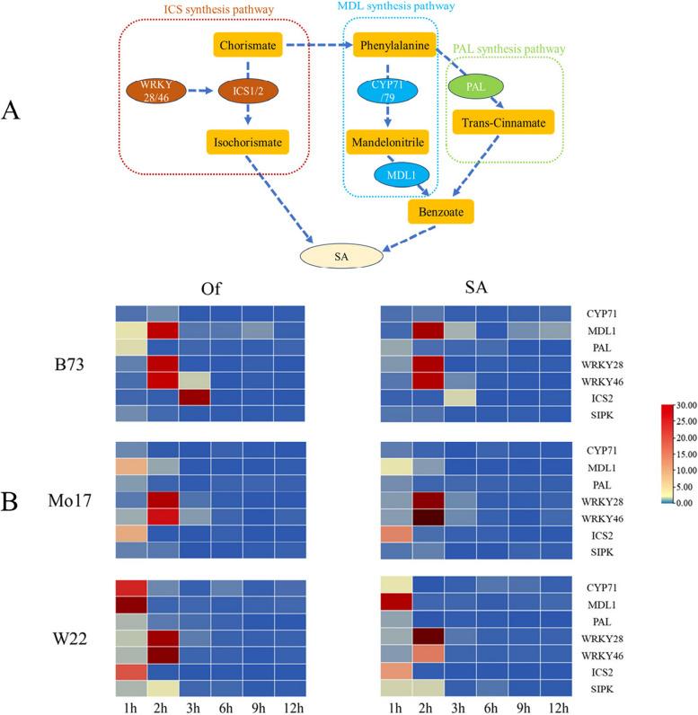 https://cdn.ncbi.nlm.nih.gov/pmc/blobs/51ea/10902998/8f2d77232ea2/12870_2024_4855_Fig3_HTML.jpg